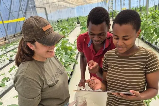 Agricultural mentor reviewing greenhouse crops with two young interns